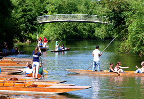 Farewell picnic and punting